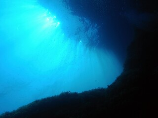 School of small fish and blue ocean, sun and rocky landscape, travel picture. Seascape with blue sea with sun reflection. Swimming fish in the shallow sea, underwater photography from scuba diving. 