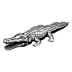 Crocodile