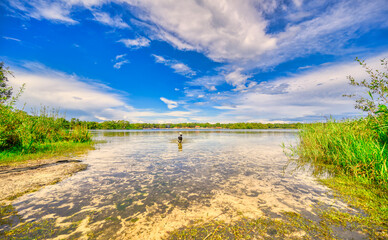 A dog enjoying the water of the lake "De IJzeren Man" in The Netherlands.