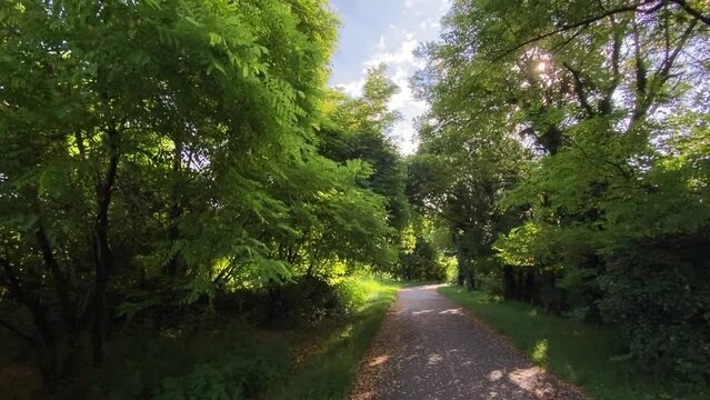 passeggiata nel parco