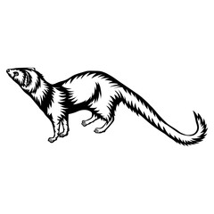 Mongoose
