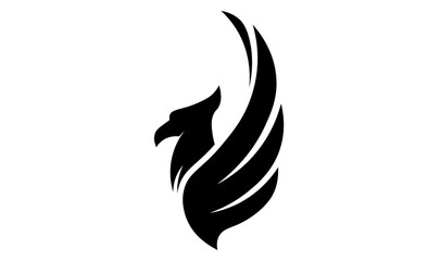 black and white wings