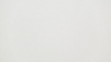 モダン な 白基調 の 襖 の 柄 【 写真撮影 された テクスチャ 素材 】