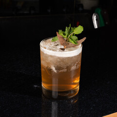 fresh ginger cocktail with mint leaves