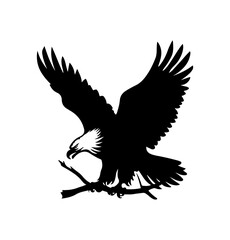 Eagle Silhouette Vector Illustration White Background