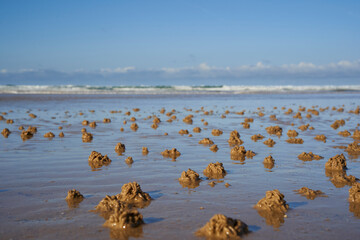 Small mounds of sand on a wet beach, indicative of lugworms or sandworms beneath the surface, showcasing marine life&rsquo;s interaction with the environment.