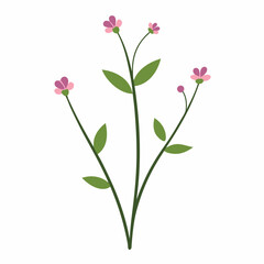 Vector of small wildflowers, frills, and small leaves 