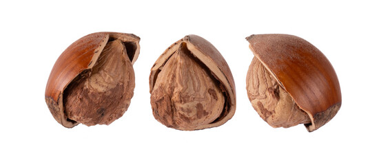 Set of hazelnuts isolated on white background