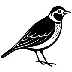 Lark Bird Silhouette Vector Art Illustration - Cute and Stylish Graphic Design.