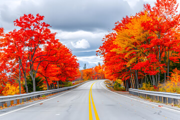 Obraz premium Highway road with beautiful autumn tree. Fall season.