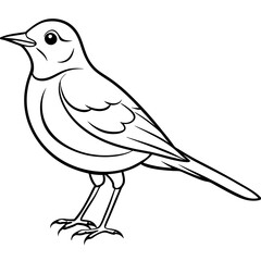Hand Drawn Lark Bird Outline Illustration - Cute and Detailed Graphic Design.