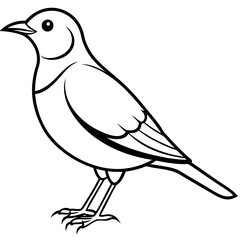 Hand Drawn Lark Bird Outline Illustration - Cute and Detailed Graphic Design.