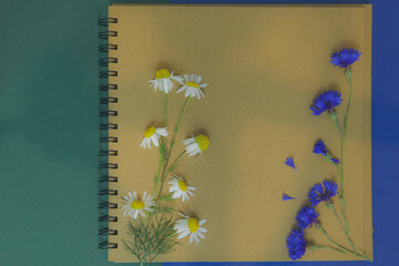 Brulion z polnymi  kwiatami rumianku i chabrów na zielono niebieskim tle. © Katarzyna