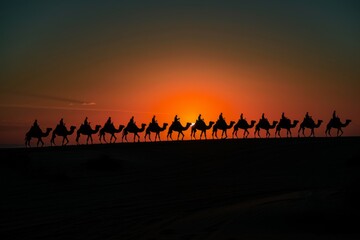 Fototapeta premium Camel Caravan at Sunset in Desert