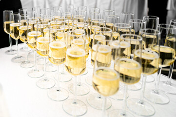 Rows of champagne glasses filled with sparkling wine on a white tablecloth, ready for a celebration