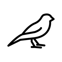 Canary Icon