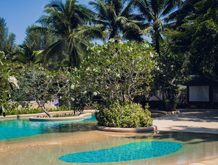 A beautiful scene with a big pool and tropical trees