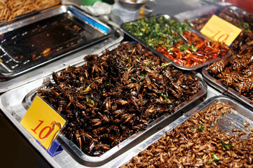 Fried insects on the night market in Thailand
