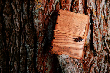 Handmade notebook with wooden cover.
