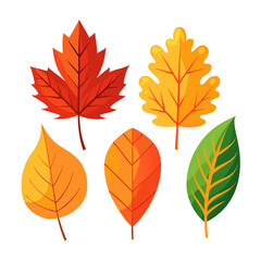 A collection of colorful autumn leaves against a white backdrop in the image