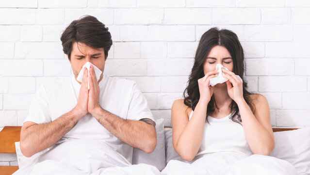 A man and a woman are sitting in bed at home, both blowing their noses into tissues. They are likely sick with a cold or the flu. - Powered by Adobe