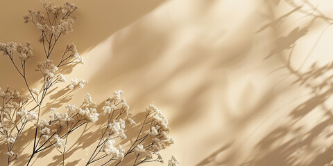 aesthetic beige background, floral, shadow, copy space 