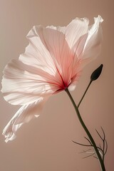 Obraz premium Realistic portrait photo macro shot, of botanical white flower with neutral background, wallpaper, wall art