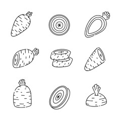 Carrot doodle line vector illustration