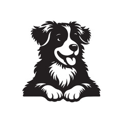 dog vector outline illustration Flat design dog and silhouette illustration vector eps 