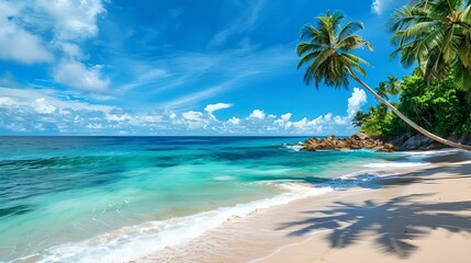 Tropical beach turquoise waters white sandy shores palm trees, gentle, breeze, clear, blue