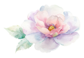 Watercolor flower on a transparent background