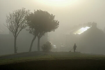 Dog Walker in the Misty City.