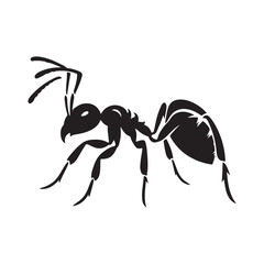 vector silhouette black ant on a white background