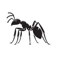 vector silhouette black ant on a white background