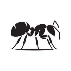vector silhouette black ant on a white background