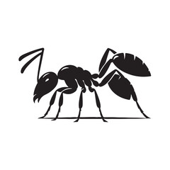 vector silhouette black ant on a white background