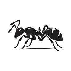 vector silhouette black ant on a white background