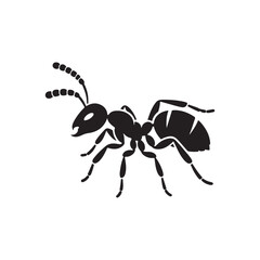 vector silhouette black ant on a white background