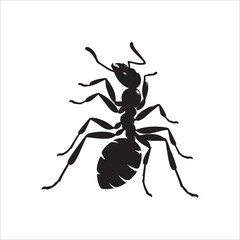 vector silhouette black ant on a white background