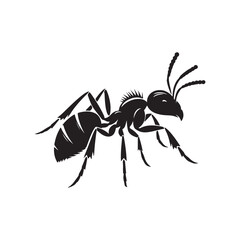 vector silhouette black ant on a white background