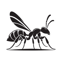 vector silhouette black ant on a white background