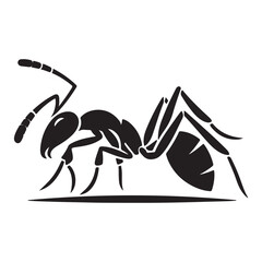 vector silhouette black ant on a white background