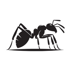 vector silhouette black ant on a white background