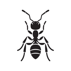 vector silhouette black ant on a white background