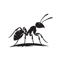 vector silhouette black ant on a white background