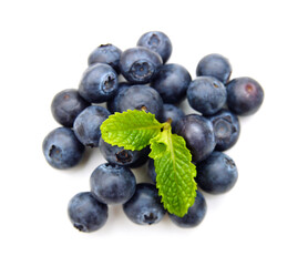Bue berry on white background