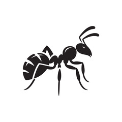 vector silhouette black ant on a white background