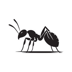 vector silhouette black ant on a white background