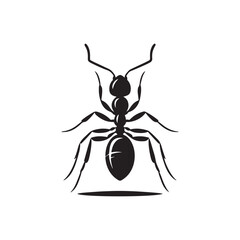 vector silhouette black ant on a white background
