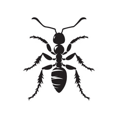 vector silhouette black ant on a white background